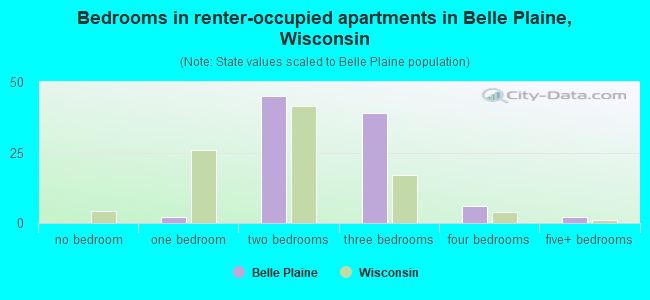 Bedrooms in renter-occupied apartments in Belle Plaine, Wisconsin