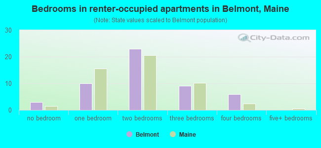 Bedrooms in renter-occupied apartments in Belmont, Maine