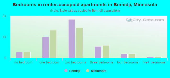 Bedrooms in renter-occupied apartments in Bemidji, Minnesota