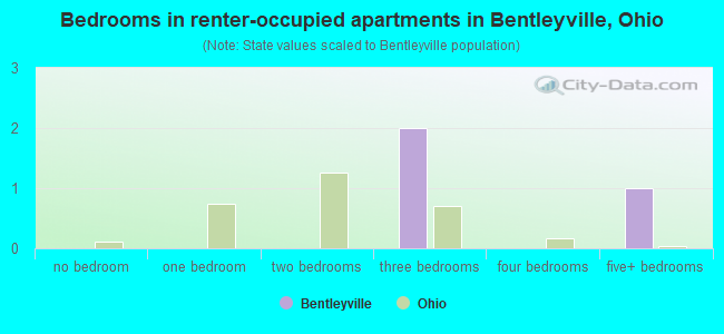 Bedrooms in renter-occupied apartments in Bentleyville, Ohio
