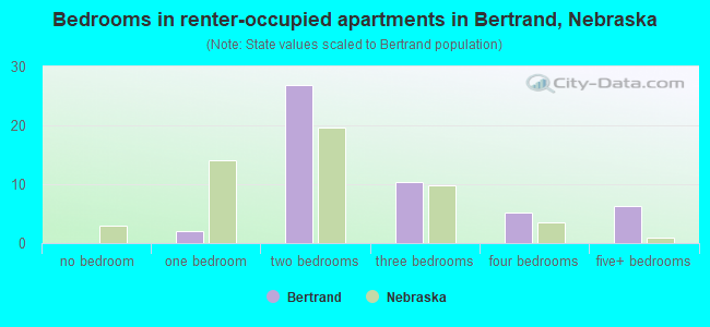 Bedrooms in renter-occupied apartments in Bertrand, Nebraska