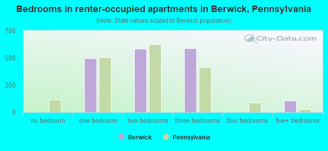 Bedrooms in renter-occupied apartments in Berwick, Pennsylvania
