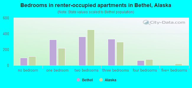 Bedrooms in renter-occupied apartments in Bethel, Alaska