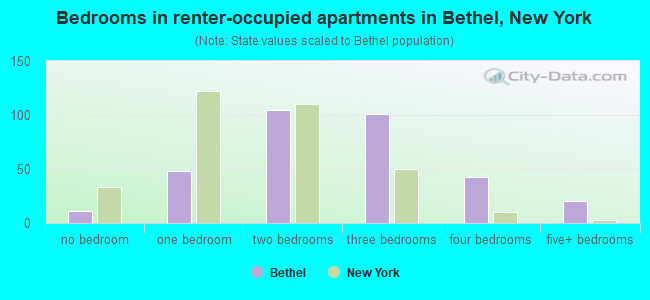 Bedrooms in renter-occupied apartments in Bethel, New York