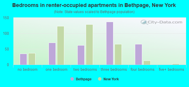 Bedrooms in renter-occupied apartments in Bethpage, New York