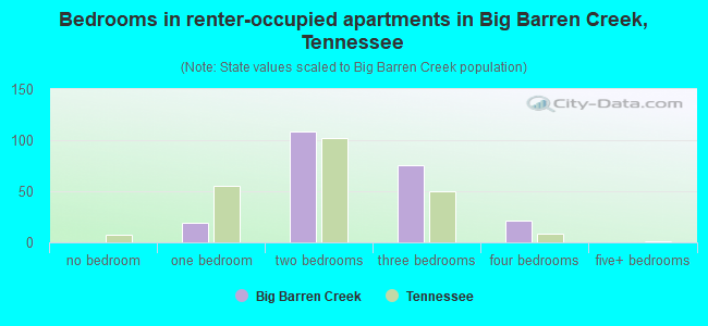 Bedrooms in renter-occupied apartments in Big Barren Creek, Tennessee