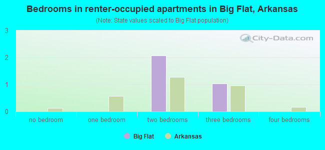 Bedrooms in renter-occupied apartments in Big Flat, Arkansas