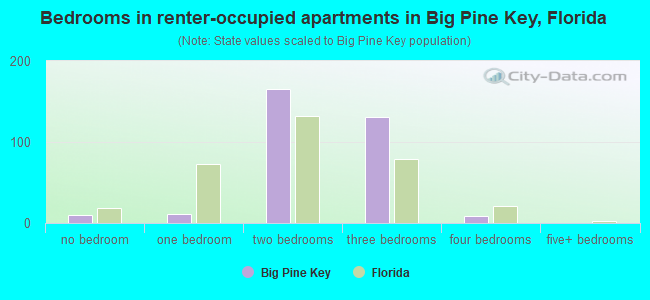 Bedrooms in renter-occupied apartments in Big Pine Key, Florida