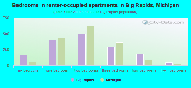 Bedrooms in renter-occupied apartments in Big Rapids, Michigan