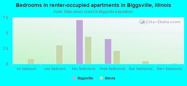 Bedrooms in renter-occupied apartments in Biggsville, Illinois