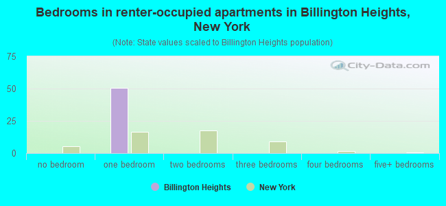 Bedrooms in renter-occupied apartments in Billington Heights, New York
