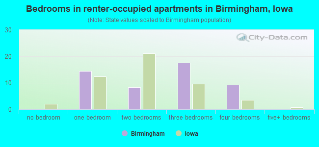 Bedrooms in renter-occupied apartments in Birmingham, Iowa