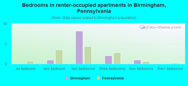 Bedrooms in renter-occupied apartments in Birmingham, Pennsylvania