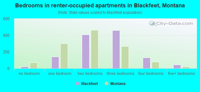 Bedrooms in renter-occupied apartments in Blackfeet, Montana
