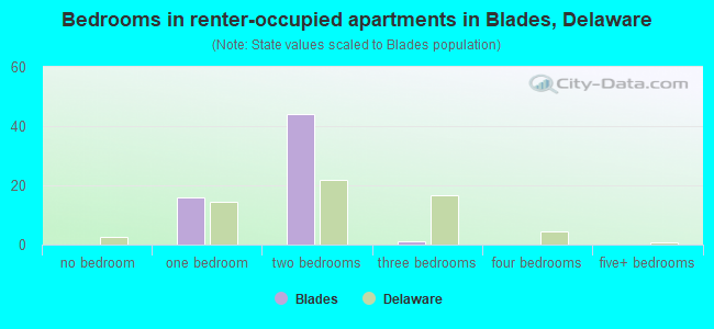 Bedrooms in renter-occupied apartments in Blades, Delaware