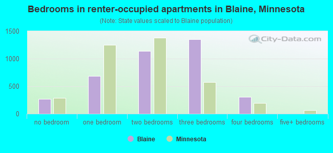 Bedrooms in renter-occupied apartments in Blaine, Minnesota