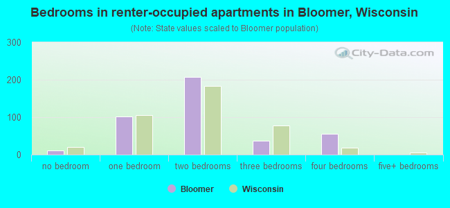 Bedrooms in renter-occupied apartments in Bloomer, Wisconsin