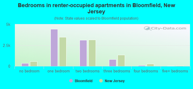 Bedrooms in renter-occupied apartments in Bloomfield, New Jersey