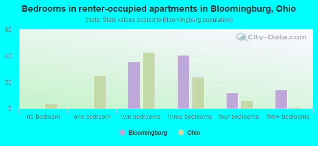 Bedrooms in renter-occupied apartments in Bloomingburg, Ohio