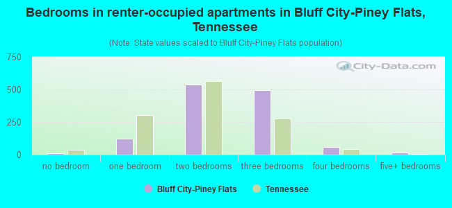 Bedrooms in renter-occupied apartments in Bluff City-Piney Flats, Tennessee