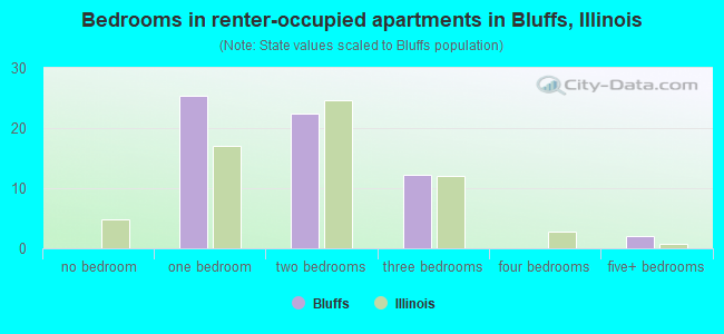 Bedrooms in renter-occupied apartments in Bluffs, Illinois