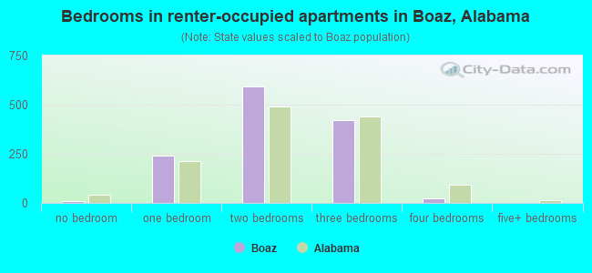 Bedrooms in renter-occupied apartments in Boaz, Alabama