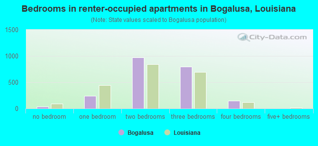 Bedrooms in renter-occupied apartments in Bogalusa, Louisiana