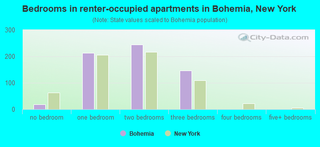 Bedrooms in renter-occupied apartments in Bohemia, New York