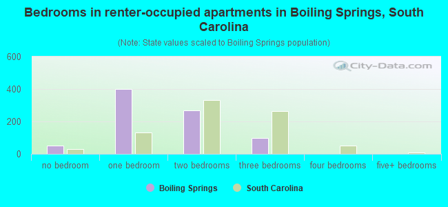 Bedrooms in renter-occupied apartments in Boiling Springs, South Carolina