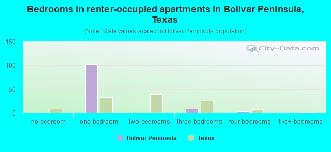 Bedrooms in renter-occupied apartments in Bolivar Peninsula, Texas