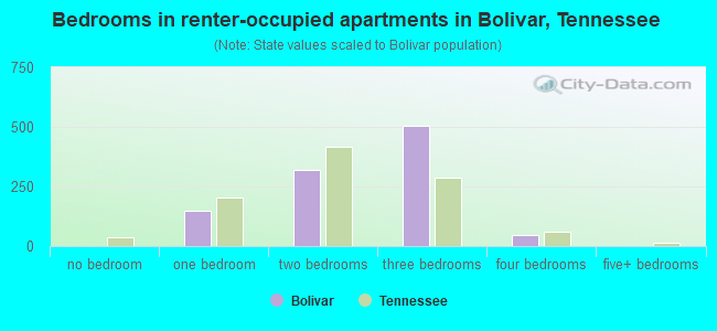 Bedrooms in renter-occupied apartments in Bolivar, Tennessee