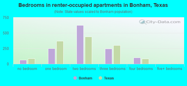Bedrooms in renter-occupied apartments in Bonham, Texas