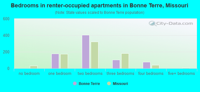 Bedrooms in renter-occupied apartments in Bonne Terre, Missouri