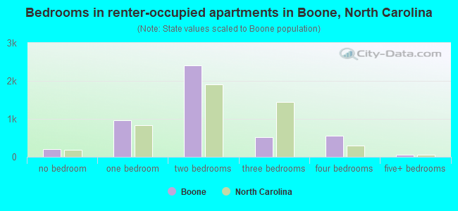 Bedrooms in renter-occupied apartments in Boone, North Carolina