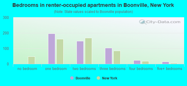 Bedrooms in renter-occupied apartments in Boonville, New York
