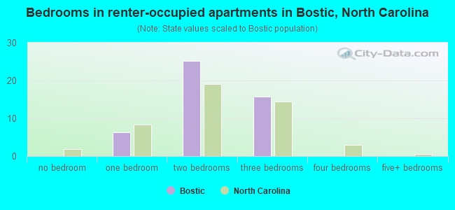 Bedrooms in renter-occupied apartments in Bostic, North Carolina