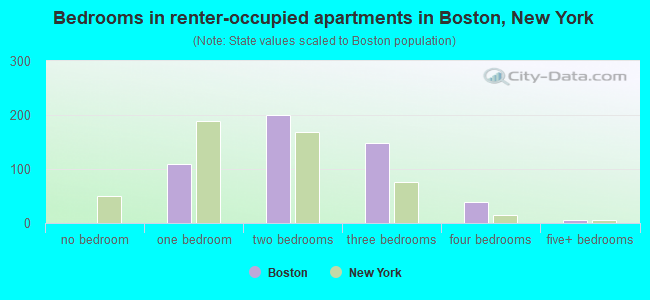 Bedrooms in renter-occupied apartments in Boston, New York