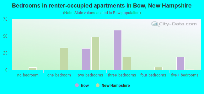 Bedrooms in renter-occupied apartments in Bow, New Hampshire