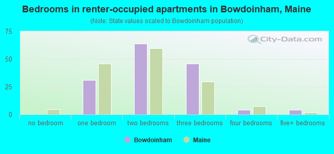 Bedrooms in renter-occupied apartments in Bowdoinham, Maine