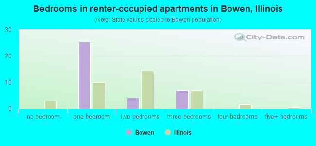 Bedrooms in renter-occupied apartments in Bowen, Illinois