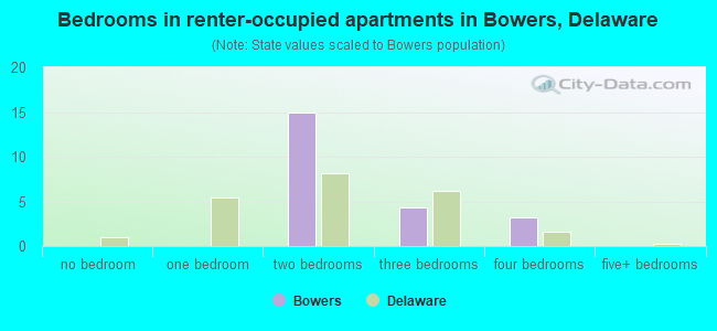 Bedrooms in renter-occupied apartments in Bowers, Delaware