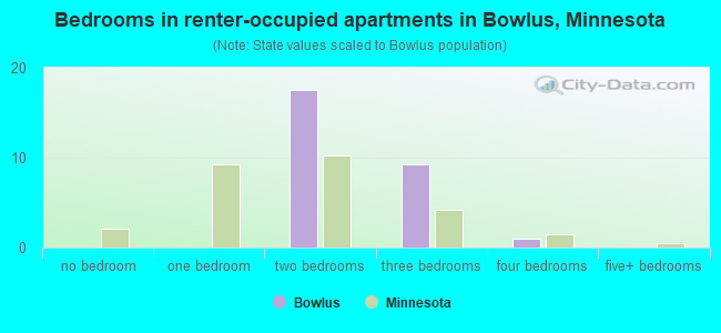 Bedrooms in renter-occupied apartments in Bowlus, Minnesota