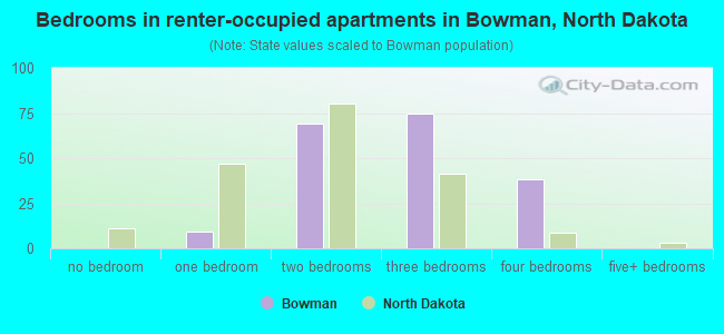 Bedrooms in renter-occupied apartments in Bowman, North Dakota