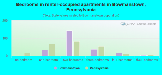 Bedrooms in renter-occupied apartments in Bowmanstown, Pennsylvania