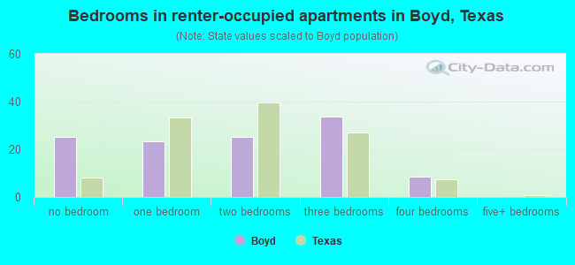 Bedrooms in renter-occupied apartments in Boyd, Texas