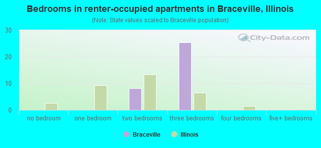 Bedrooms in renter-occupied apartments in Braceville, Illinois