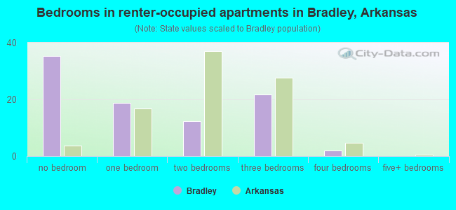 Bedrooms in renter-occupied apartments in Bradley, Arkansas