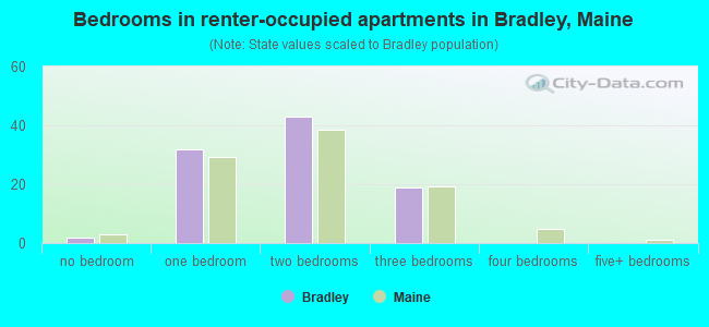 Bedrooms in renter-occupied apartments in Bradley, Maine