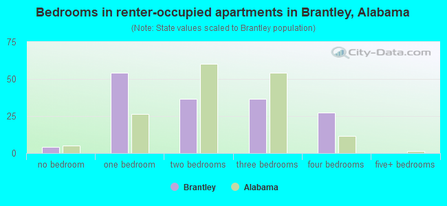 Bedrooms in renter-occupied apartments in Brantley, Alabama