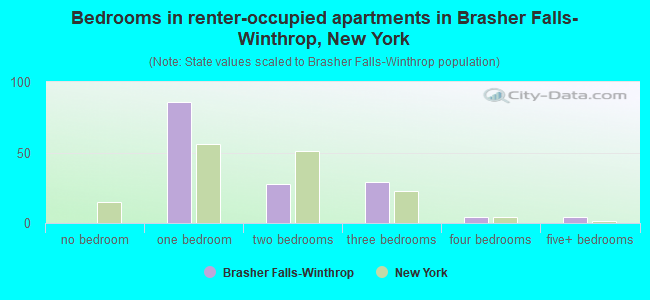 Bedrooms in renter-occupied apartments in Brasher Falls-Winthrop, New York